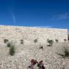 Granbury Champagne Chopped Limestone - Image 3